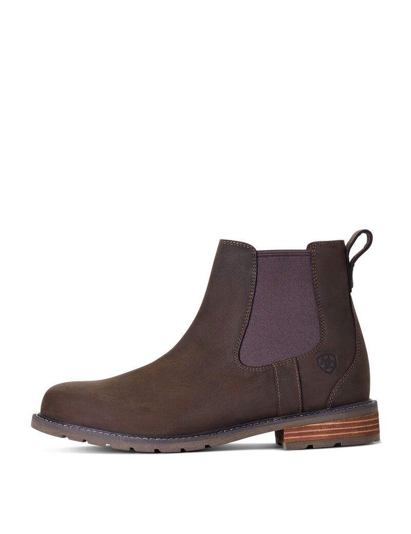 Bottes Imperméables Ariat Wexford Imperméables Multicolore | YLC-2579024