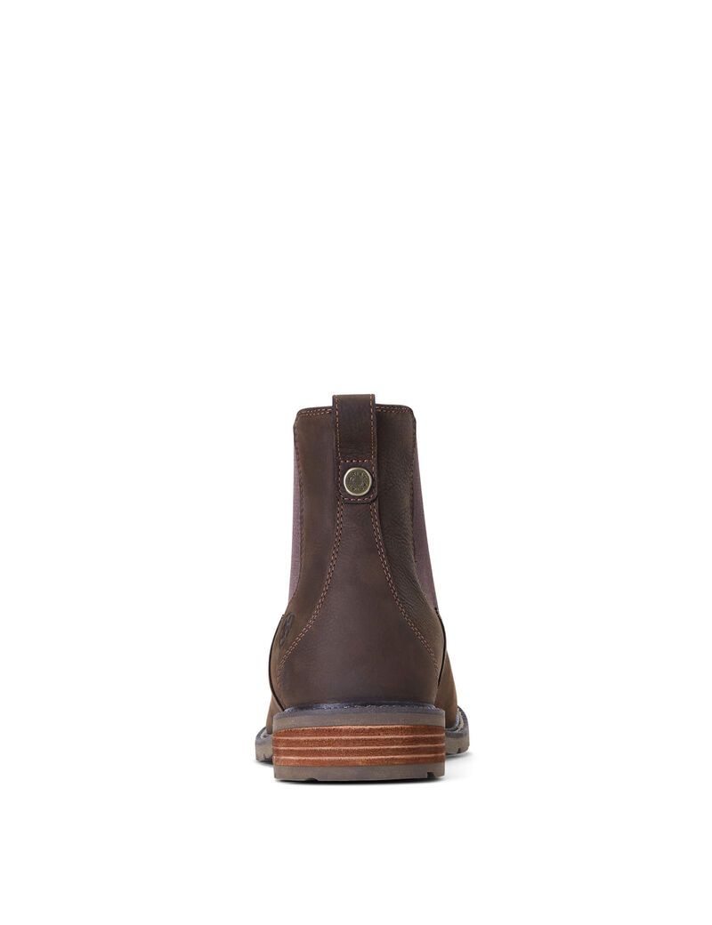 Bottes Imperméables Ariat Wexford Imperméables Multicolore | YLC-2579024