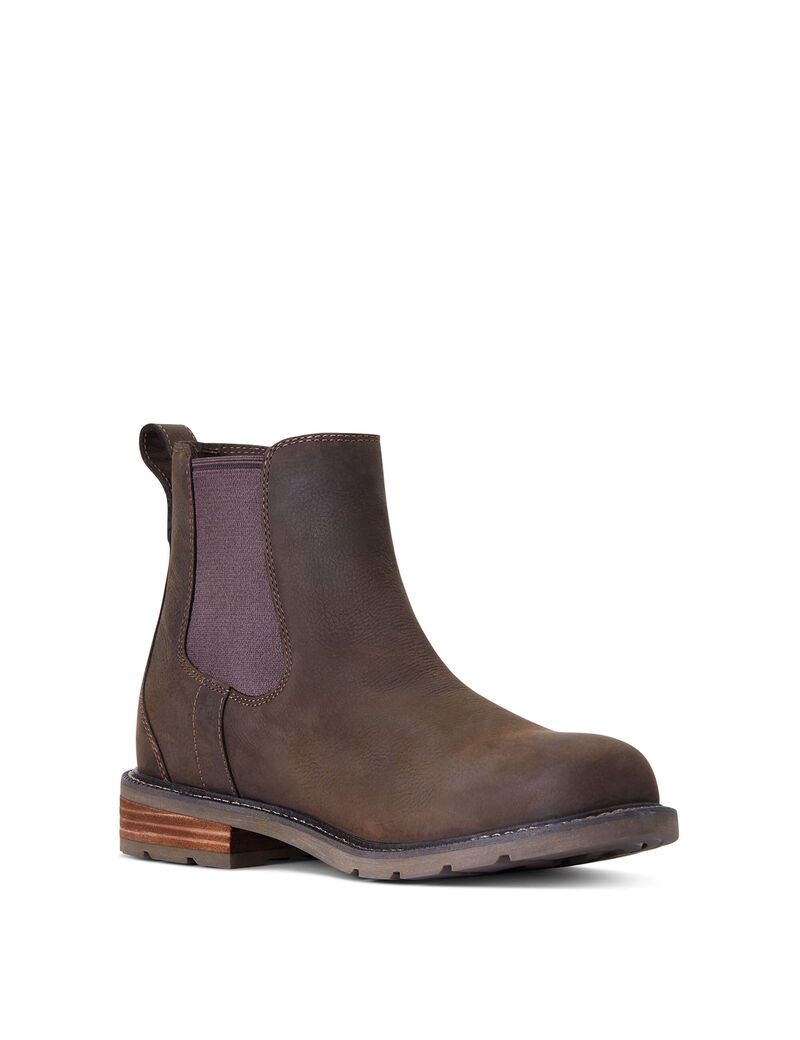 Bottes Imperméables Ariat Wexford Imperméables Multicolore | YLC-2579024