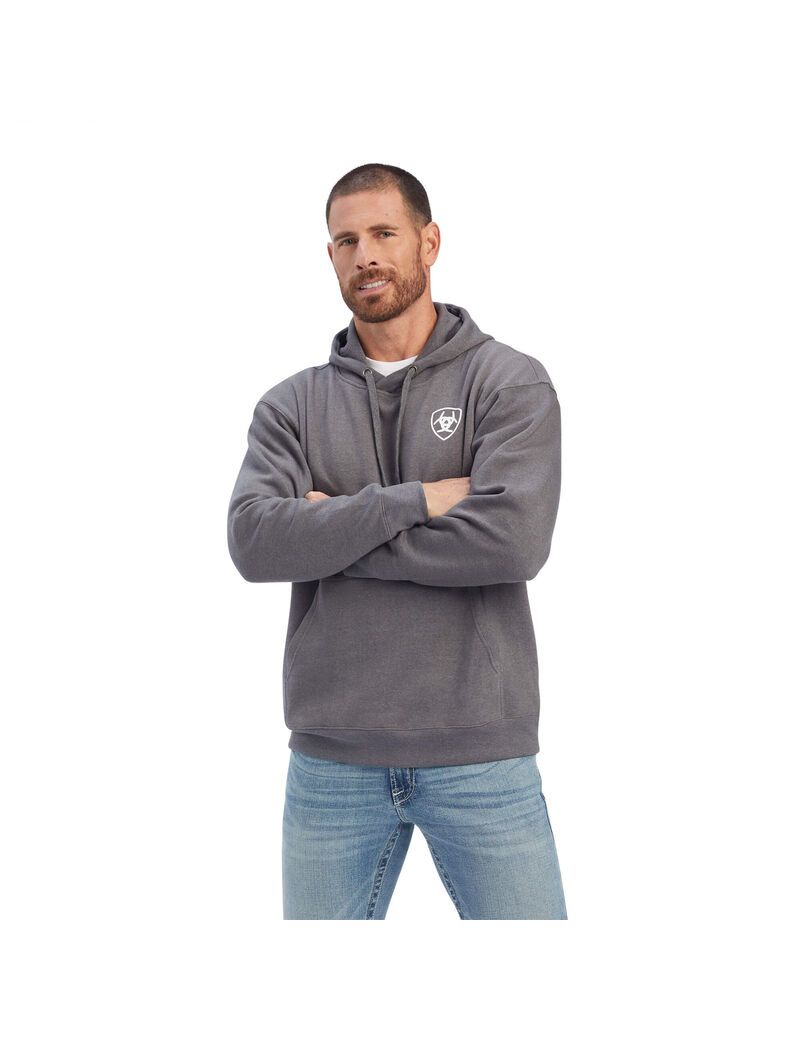 Sweats Ariat Southwest Shield Grise | SNT-1779479