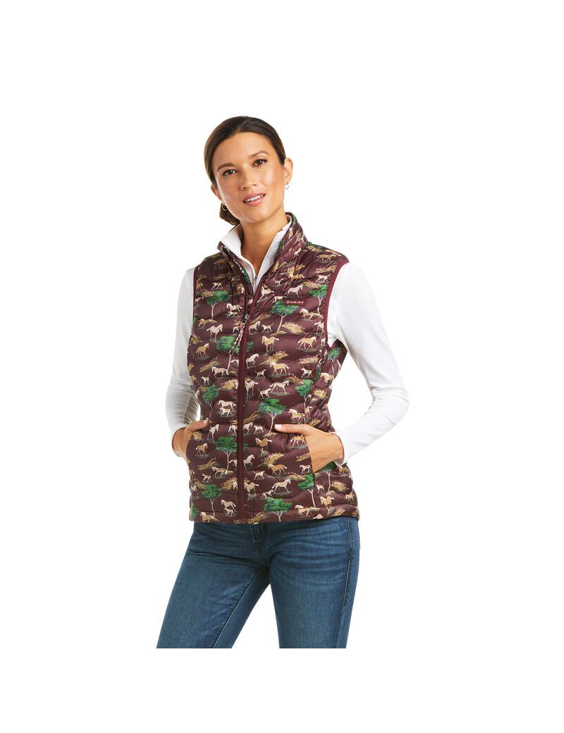 Gilet Ariat Ideal 3.0 Down Multicolore | OUZ-4671487