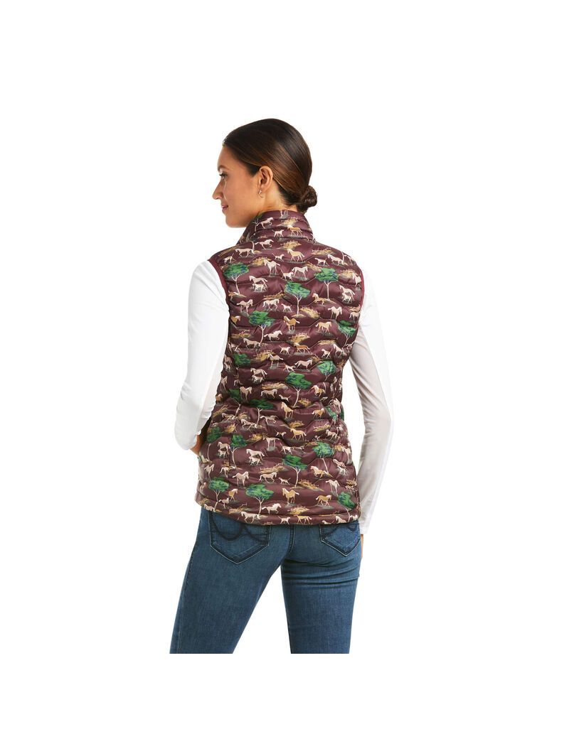 Gilet Ariat Ideal 3.0 Down Multicolore | OUZ-4671487