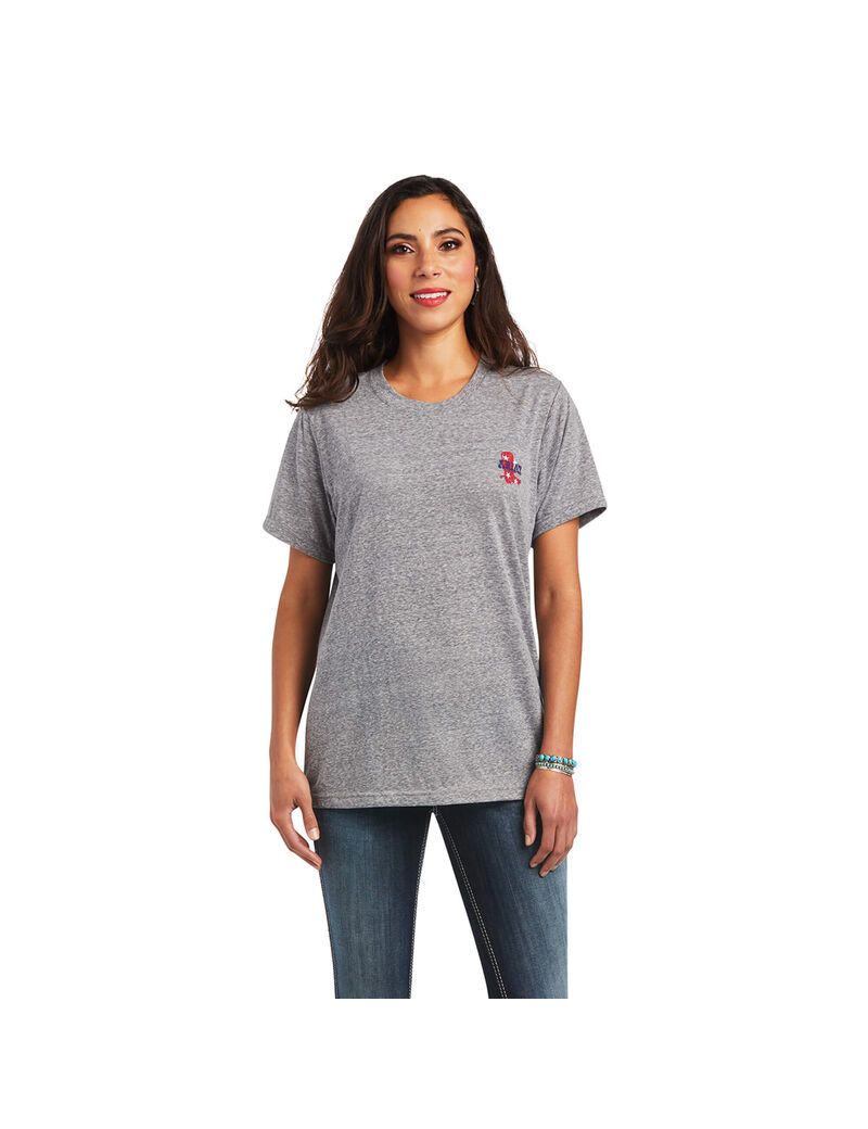 Hauts Ariat Singing the Blues Tee Grise | NSJ-4228769