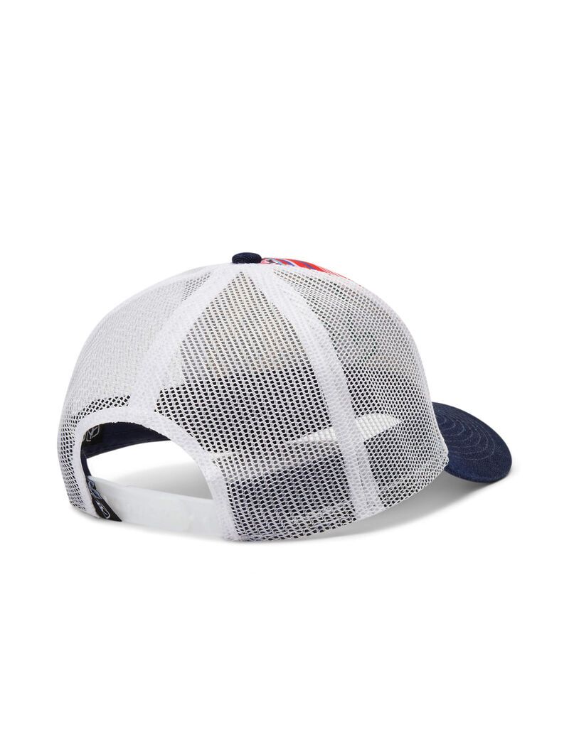 Casquettes Ariat Cactus Icon Multicolore | RWI-7747454