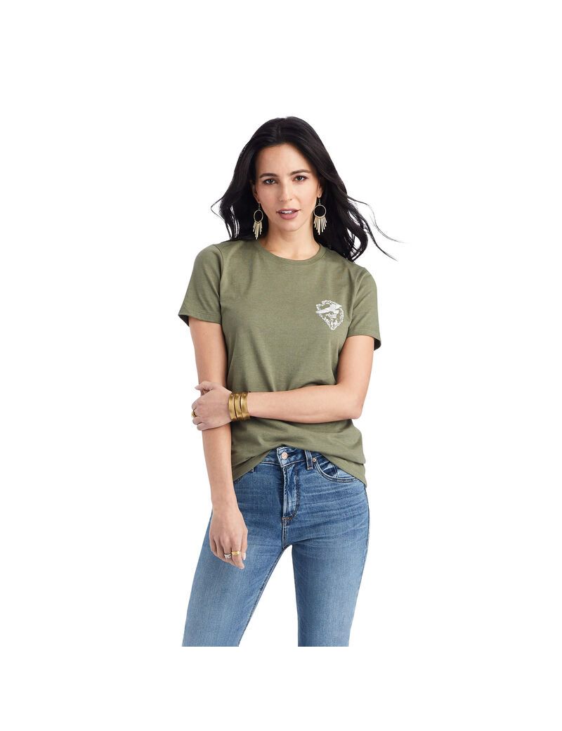 Hauts Ariat Arrowhead Tee Multicolore | AWI-8961681