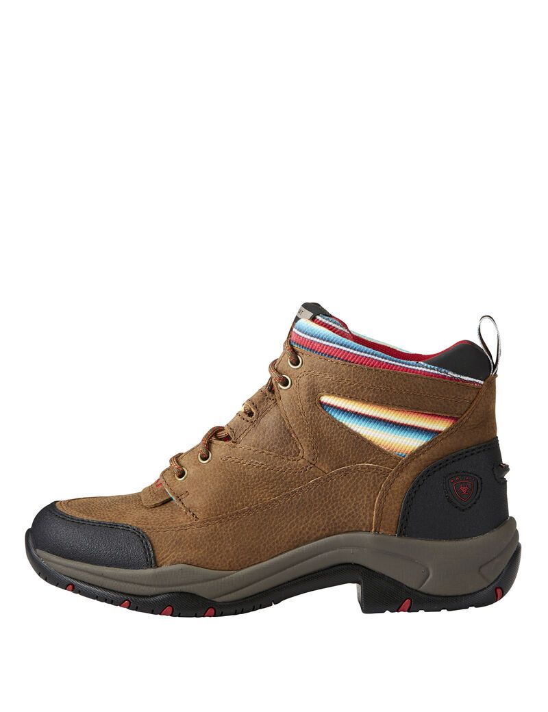 Bottes Randonnée Ariat Terrain Multicolore | OZS-8434188