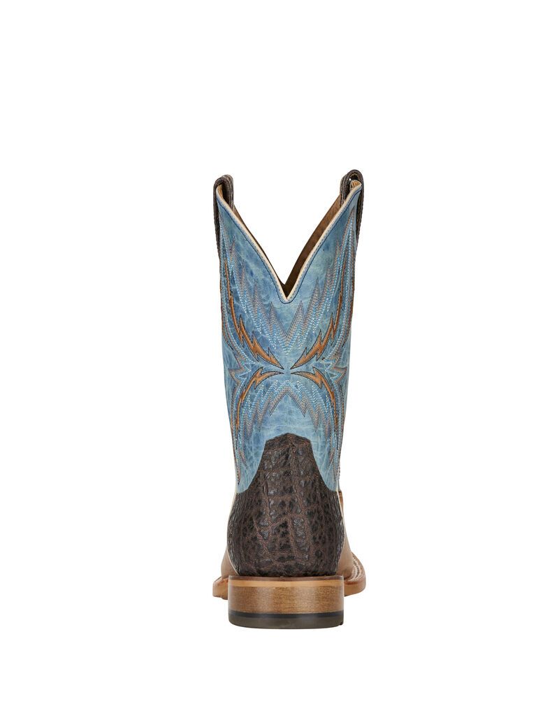 Bottes Western Ariat Arena Rebound Marron | BQL-3146719