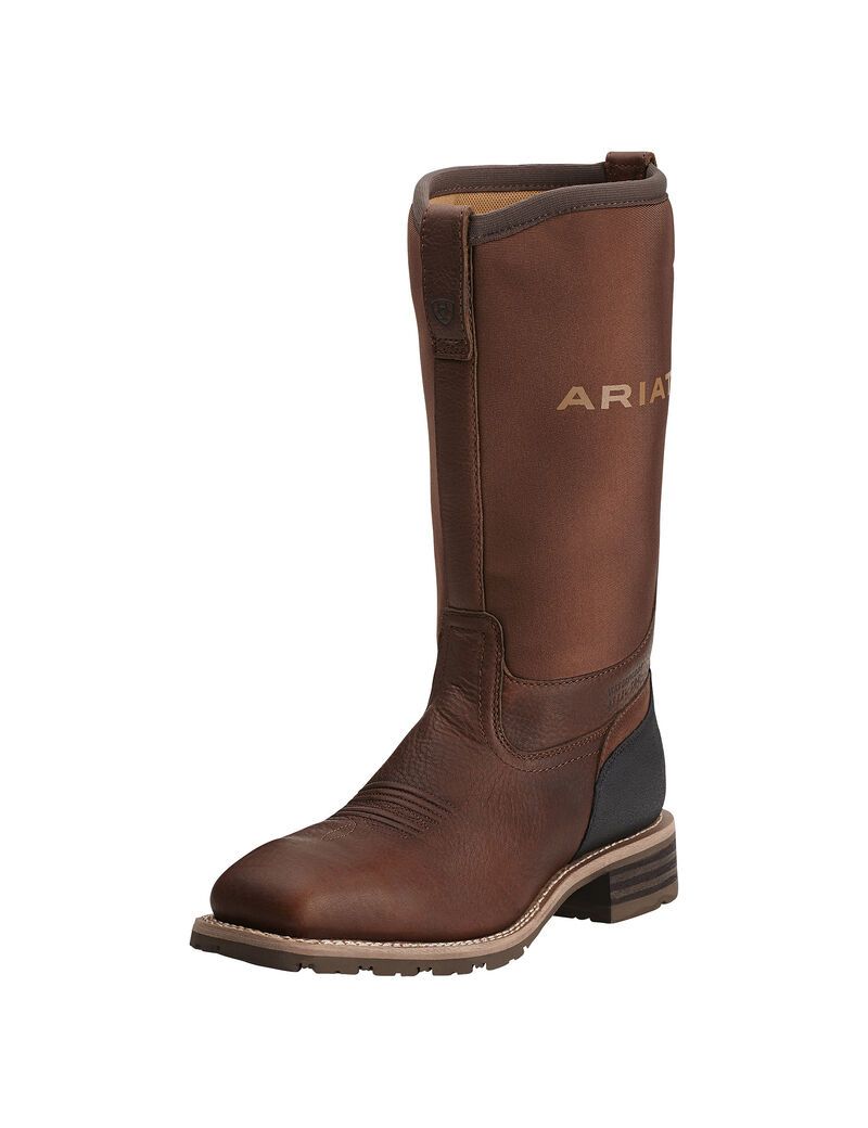 Bottes Imperméables Ariat Hybride All Weather Steel Embout Travail Marron | BAW-9984079