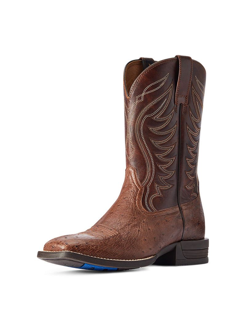 Bottes Western Ariat Reckoning Multicolore | CVD-2009795