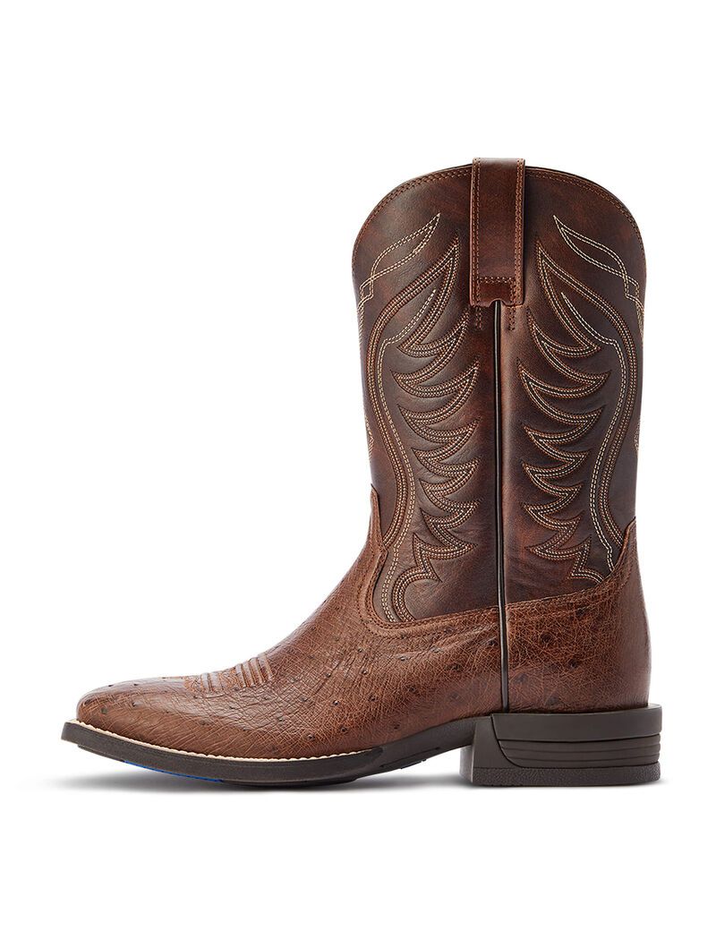 Bottes Western Ariat Reckoning Multicolore | CVD-2009795