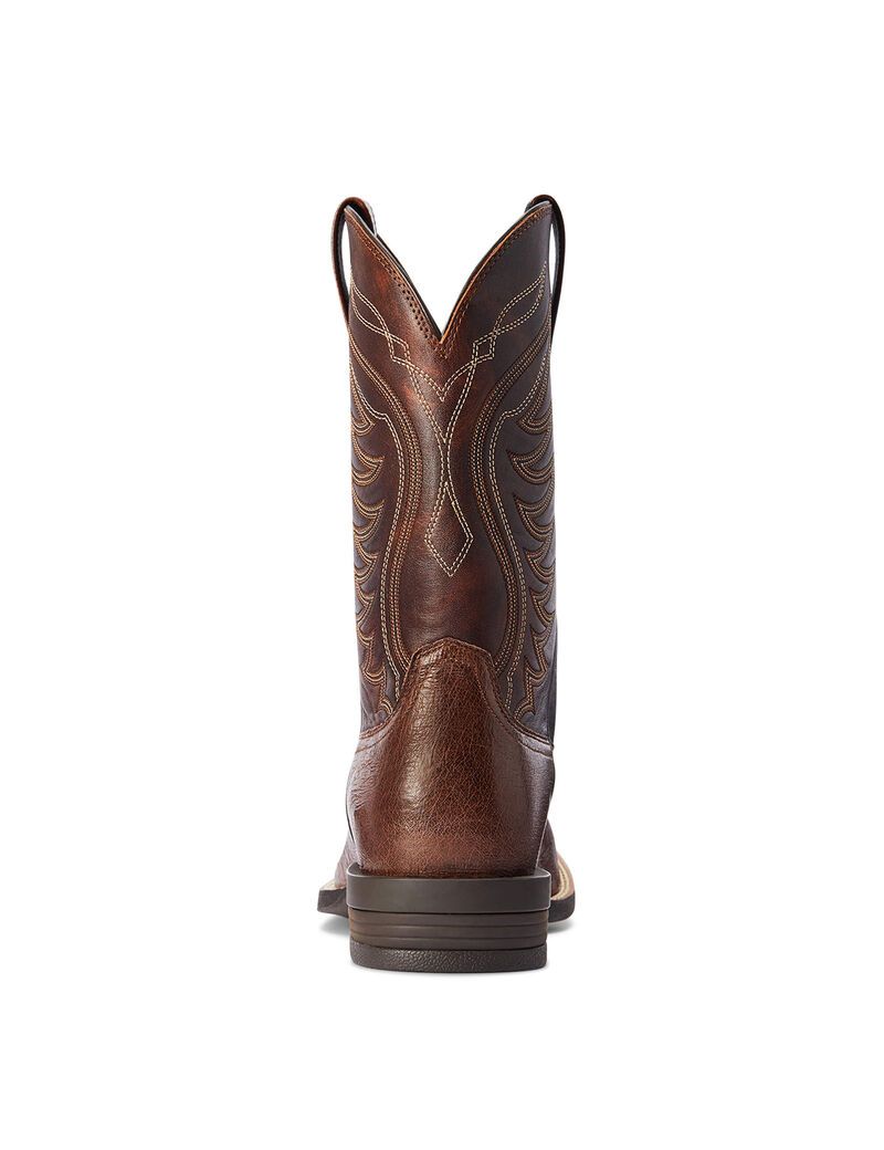 Bottes Western Ariat Reckoning Multicolore | CVD-2009795