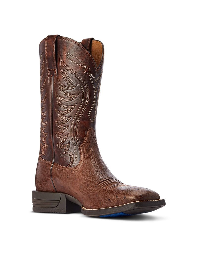 Bottes Western Ariat Reckoning Multicolore | CVD-2009795