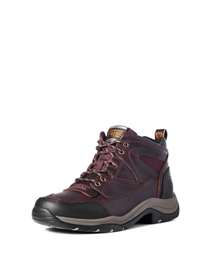 Bottes Randonnée Ariat Terrain Marron Foncé | AYE-8063612