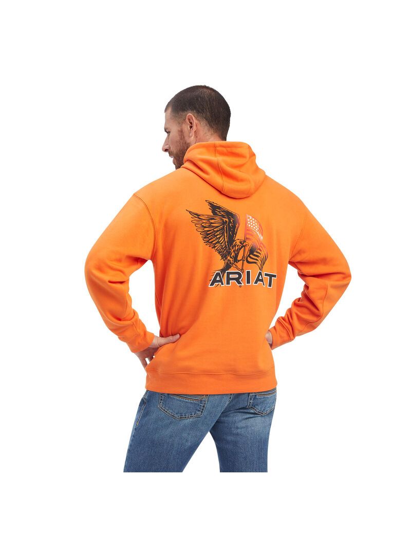 Sweats Ariat Free Bird Multicolore | BOV-5853540