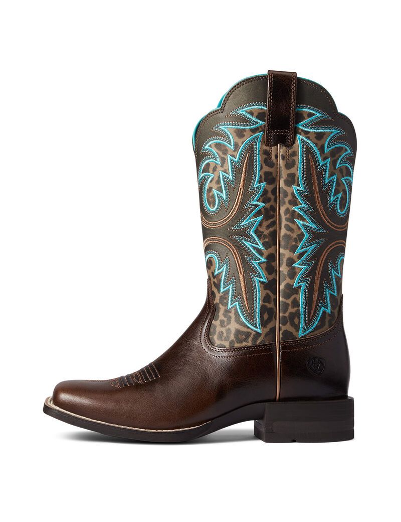 Bottes Western Ariat Lonestar Chocolat | EQA-6398805