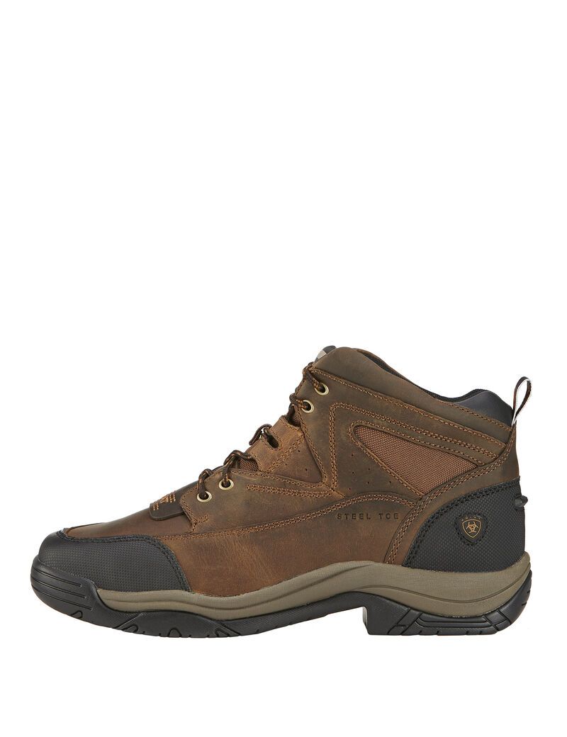 Bottes Randonnée Ariat Terrain Larges Square Embout Steel Embout Travail Marron | VCZ-0534902