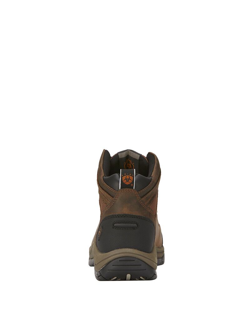 Bottes Randonnée Ariat Terrain Larges Square Embout Steel Embout Travail Marron | VCZ-0534902