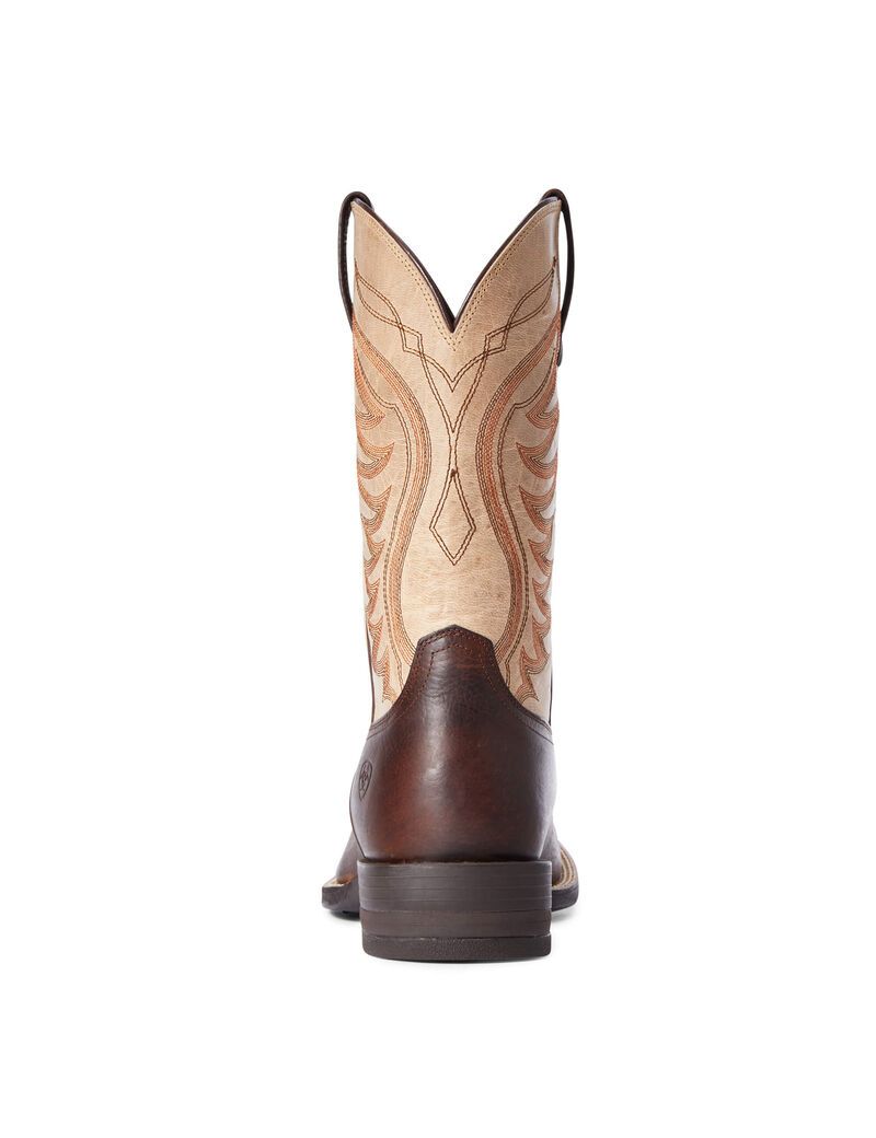 Bottes Western Ariat Amos Marron | VWT-1222837