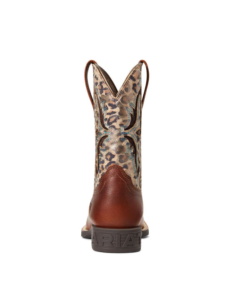 Bottes Western Ariat Koel Venttek Multicolore | GDW-7020770