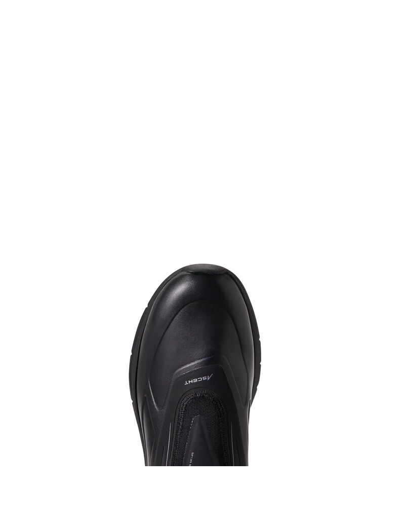 Bottes D'équitation Ariat Ascent Alti Noir | LNA-3289032