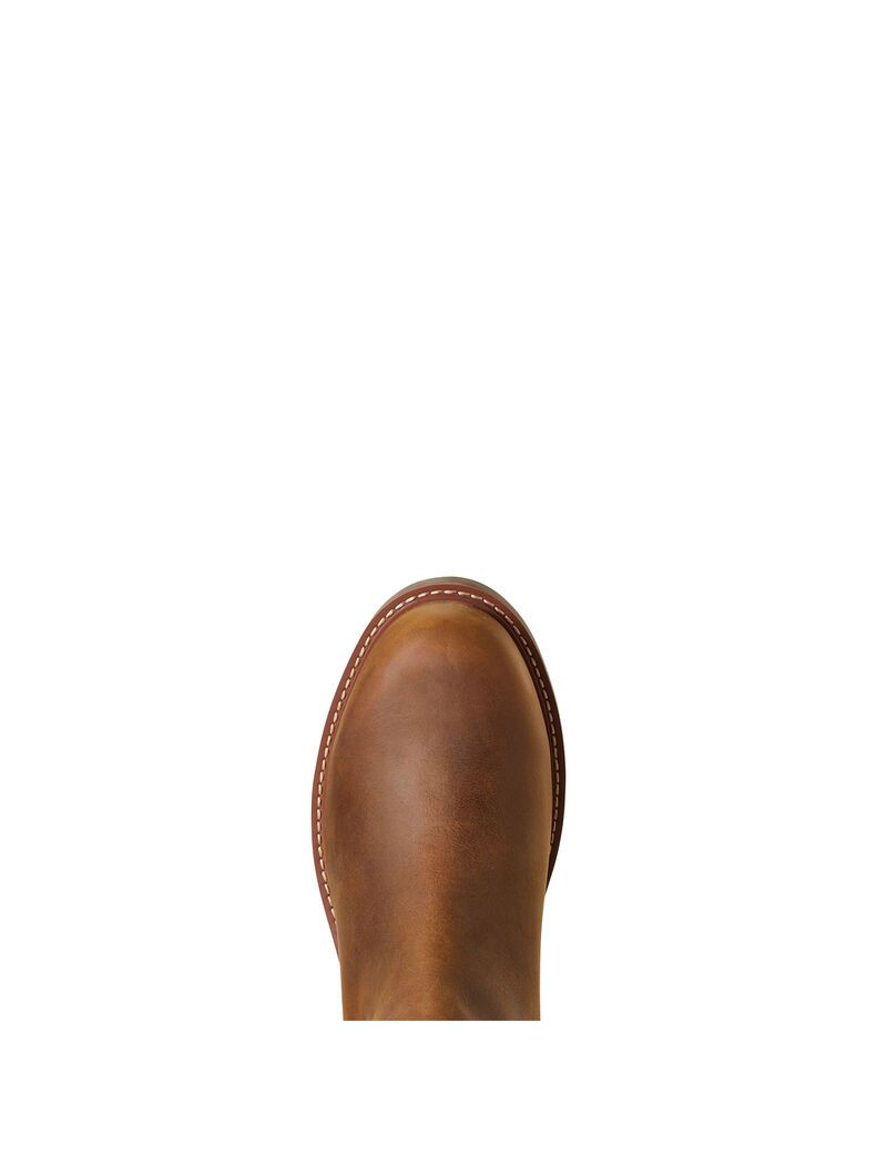 Bottes Imperméables Ariat Wexford Imperméables Marron | MCV-6971797