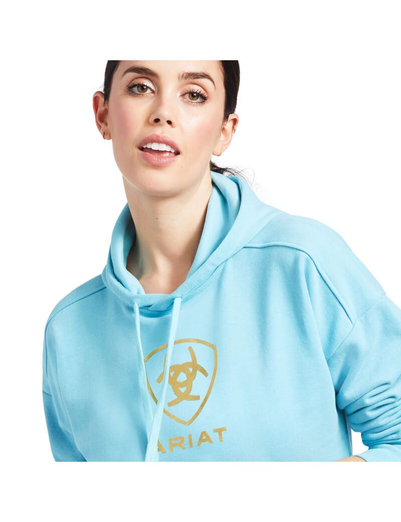 Sweat à Capuche Ariat Just Bleu | HTV-2596164