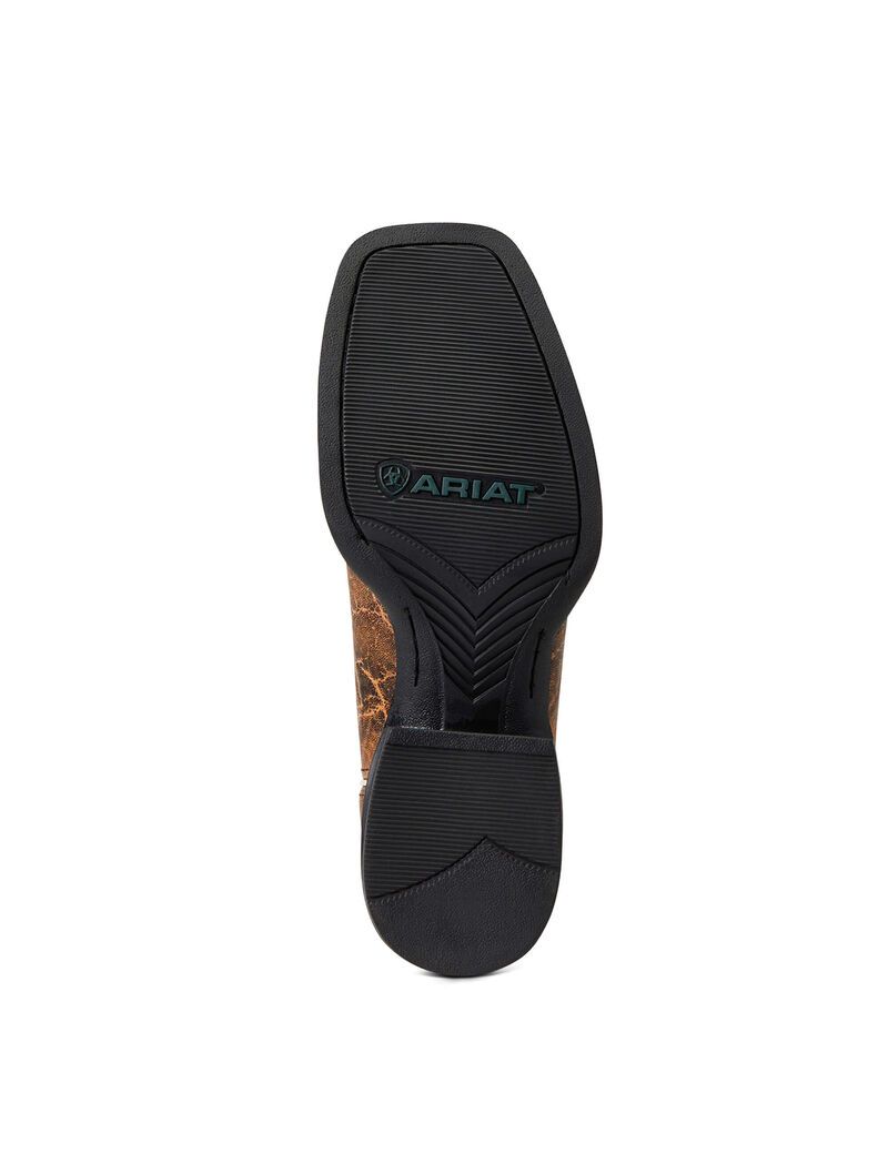 Bottes Western Ariat Sport Smokewagon Multicolore | AWE-8099960