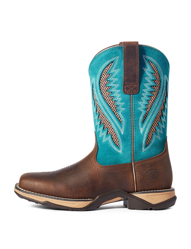 Bottes Western Ariat Anthem Venttek Chocolat | DYH-7618967