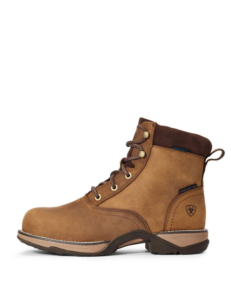 Bottes de Travail Ariat Anthem Round Embout Lacer Imperméables Composite Embout Marron | IZF-5119289