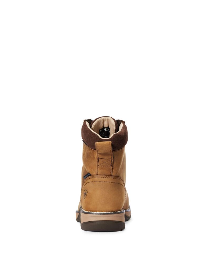 Bottes de Travail Ariat Anthem Round Embout Lacer Imperméables Composite Embout Marron | IZF-5119289