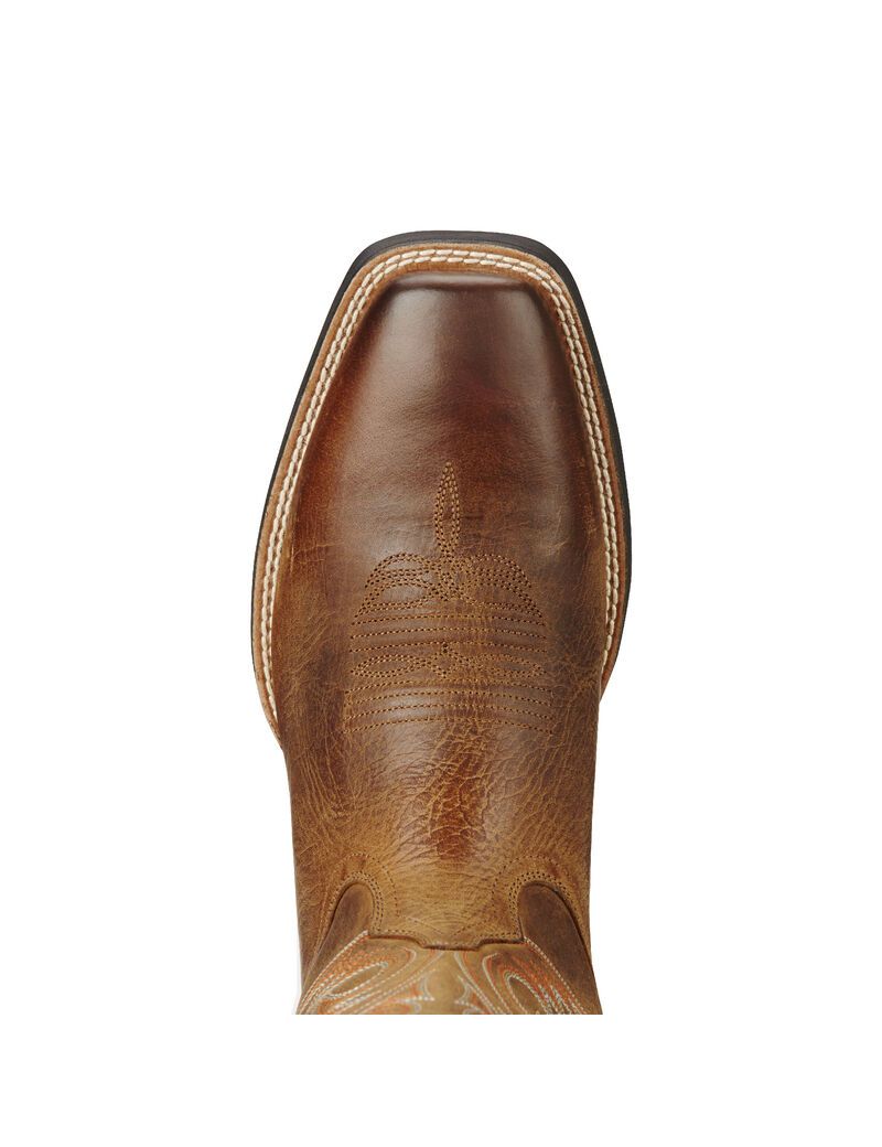 Bottes Western Ariat Sport Herdsman Marron | GNO-1210192