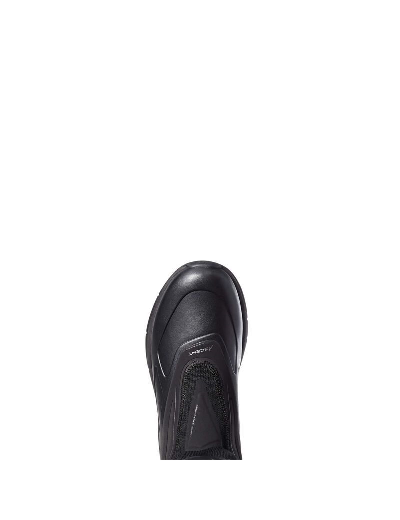 Bottes D'équitation Ariat Ascent Alti Noir | TJP-9778566