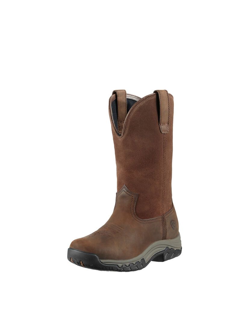 Bottes D'équitation Ariat Terrain Pull On Imperméables Marron | HGR-9866395