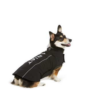 Pet Accessories Ariat Team Softshell Dog Jackets Noir | EED-1746243