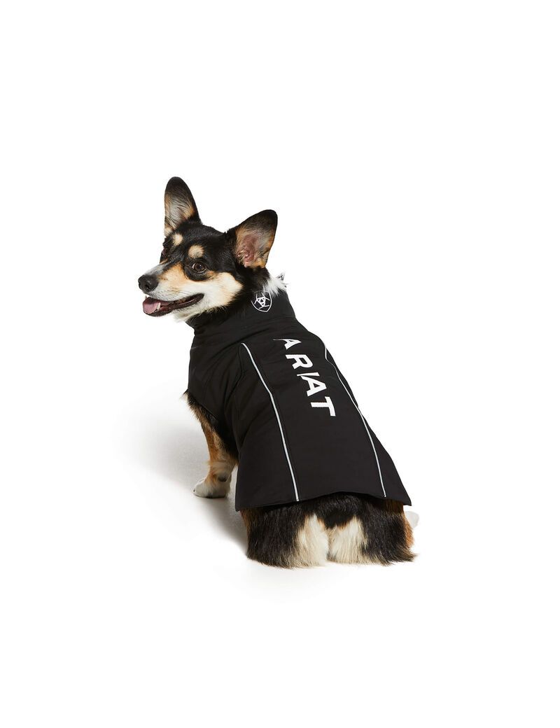 Pet Accessories Ariat Team Softshell Dog Jackets Noir | EED-1746243