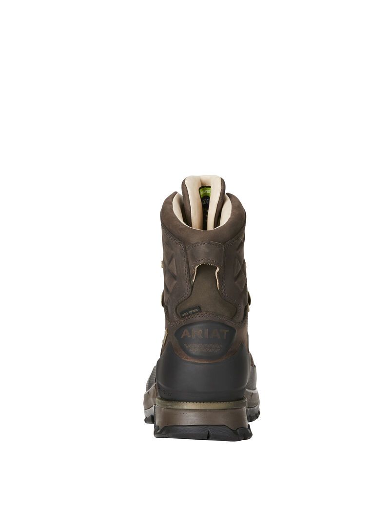 Bottes Randonnée Ariat Catalyst VX Defiant 8' Gore-Tex 400g Hunting Marron | QOC-5622404