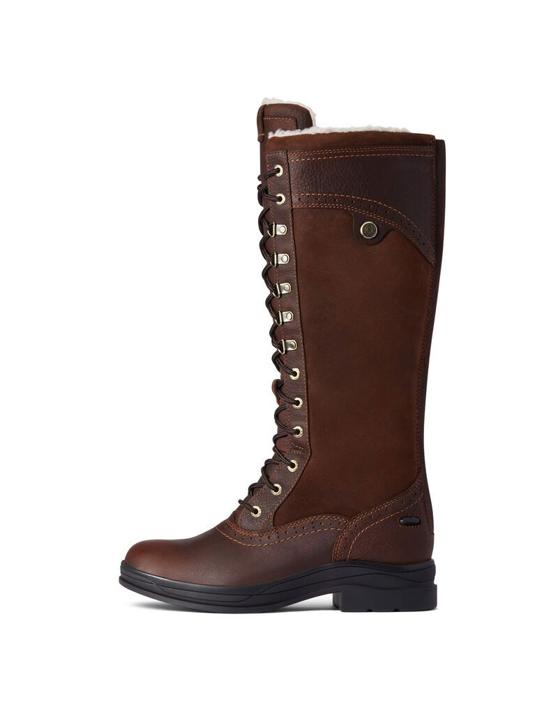 Bottes D'équitation Ariat Wythburn Alti Imperméables Marron Foncé | SJZ-8381737