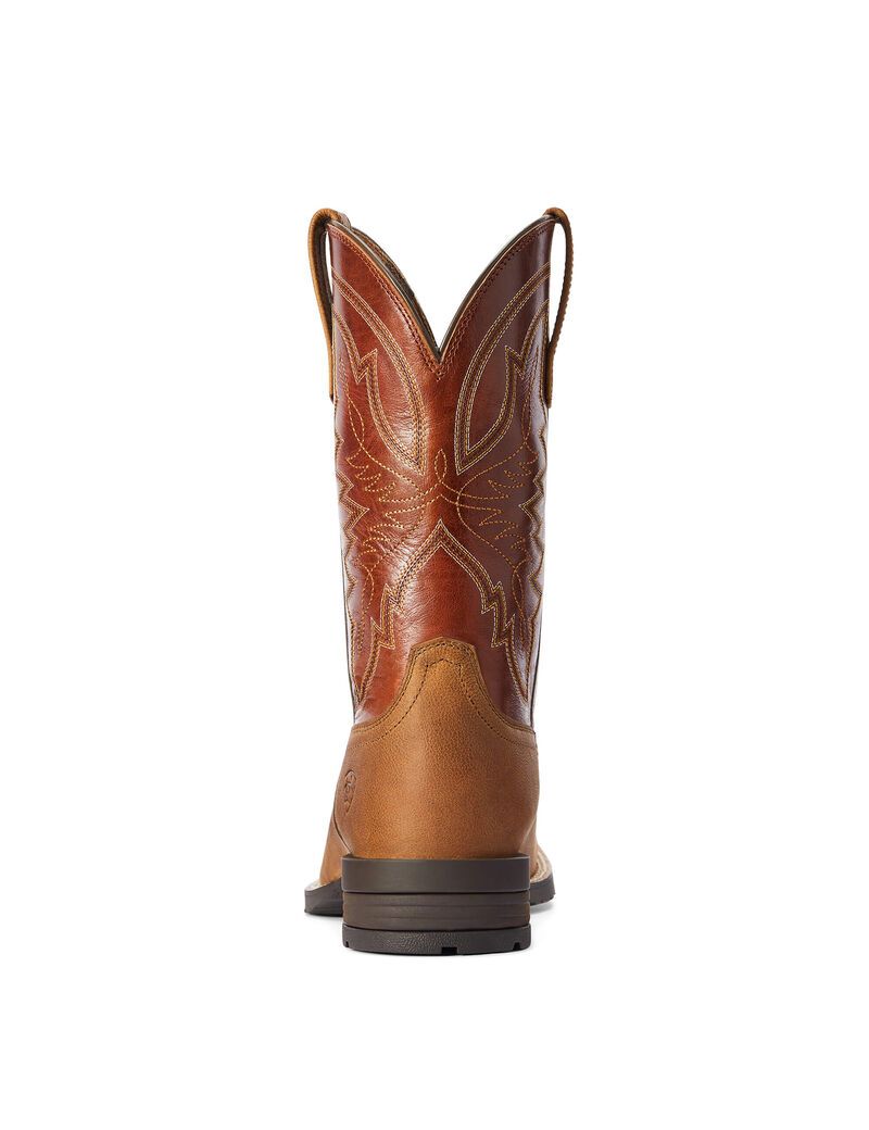 Bottes Western Ariat Hybride Ranchwork Multicolore | LRP-3586079