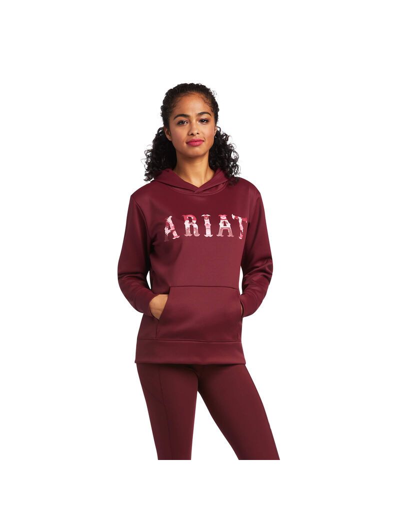 Sweat à Capuche Ariat Tek Multicolore | SET-7249823