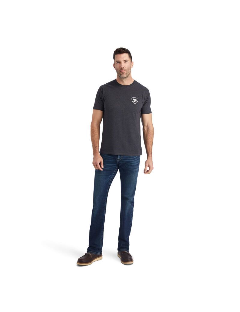 T Shirts Ariat Wingspan Grise | EHC-8723879