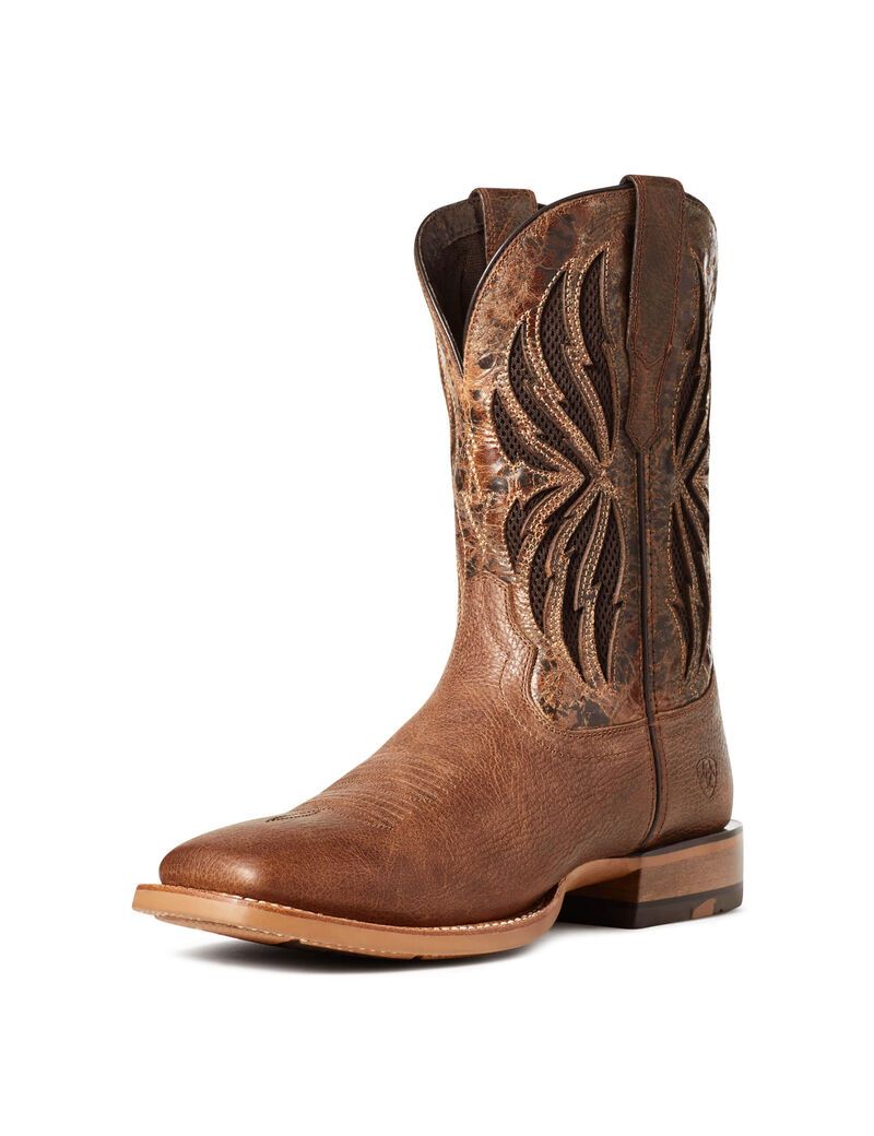 Bottes Western Ariat Arena Record Venttek Multicolore | YNQ-2114144