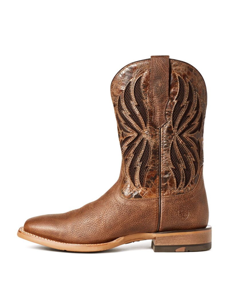 Bottes Western Ariat Arena Record Venttek Multicolore | YNQ-2114144