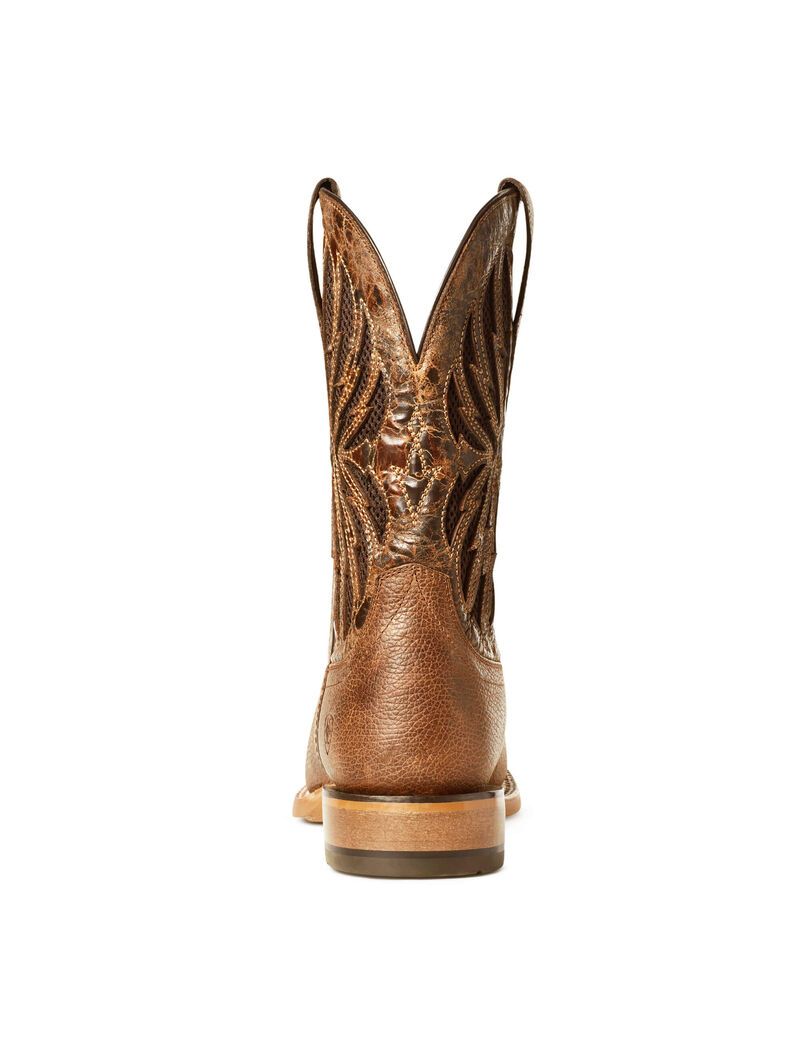 Bottes Western Ariat Arena Record Venttek Multicolore | YNQ-2114144