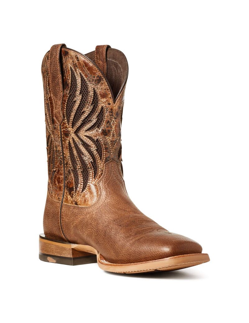 Bottes Western Ariat Arena Record Venttek Multicolore | YNQ-2114144