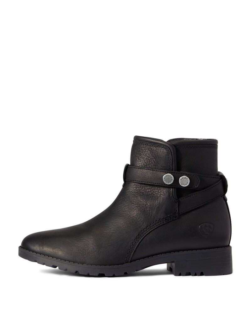 Bottes Imperméables Ariat Charlie Imperméables Noir | PLC-6840041