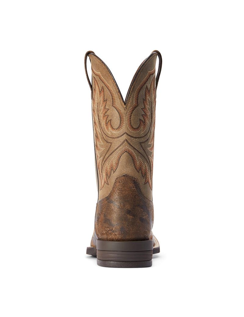 Bottes Western Ariat Wilder Grise | AQF-1882519