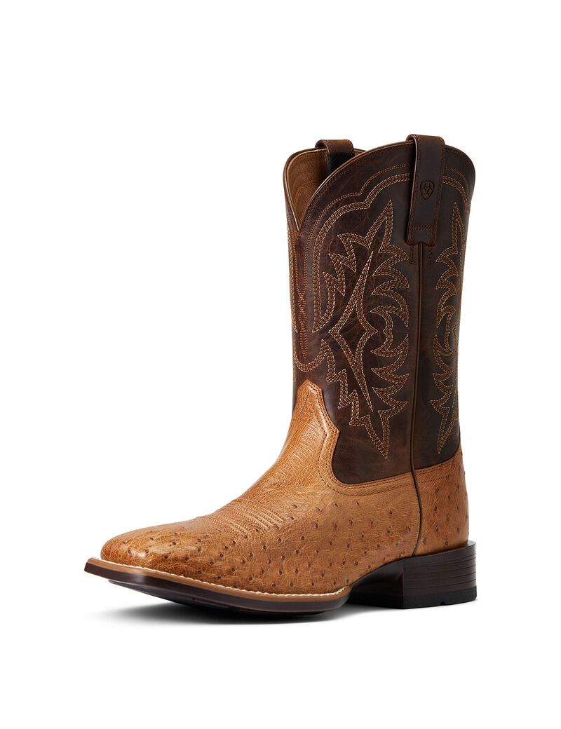 Bottes Western Ariat Night Life Ultra Multicolore | KXF-3915083