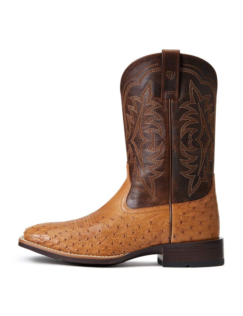 Bottes Western Ariat Night Life Ultra Multicolore | KXF-3915083