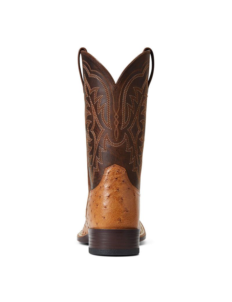 Bottes Western Ariat Night Life Ultra Multicolore | KXF-3915083