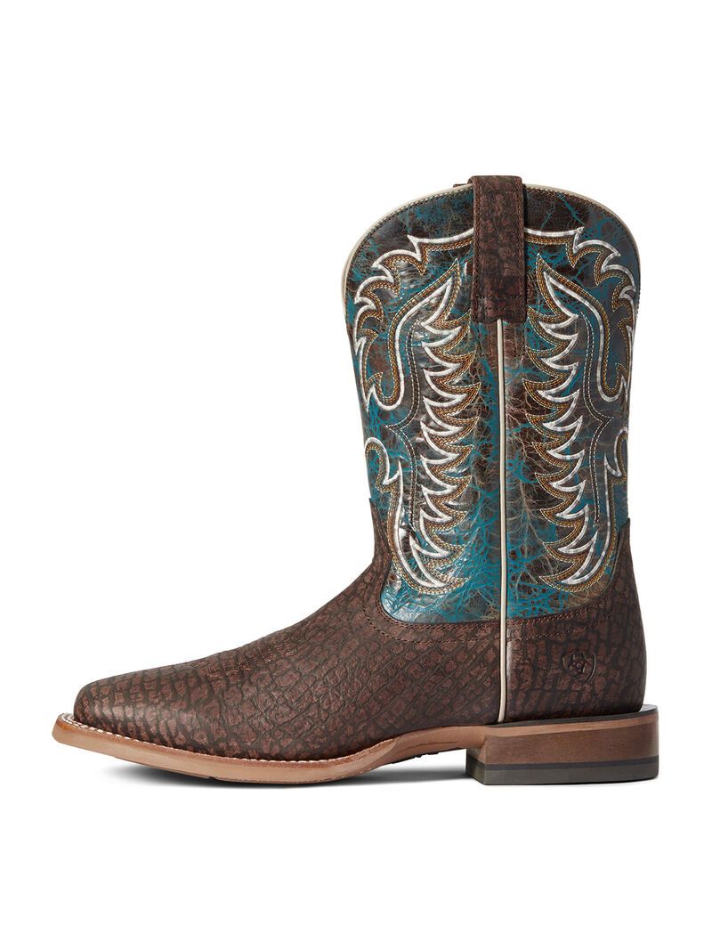 Bottes Western Ariat Stinger Marron Foncé | HRN-4003360